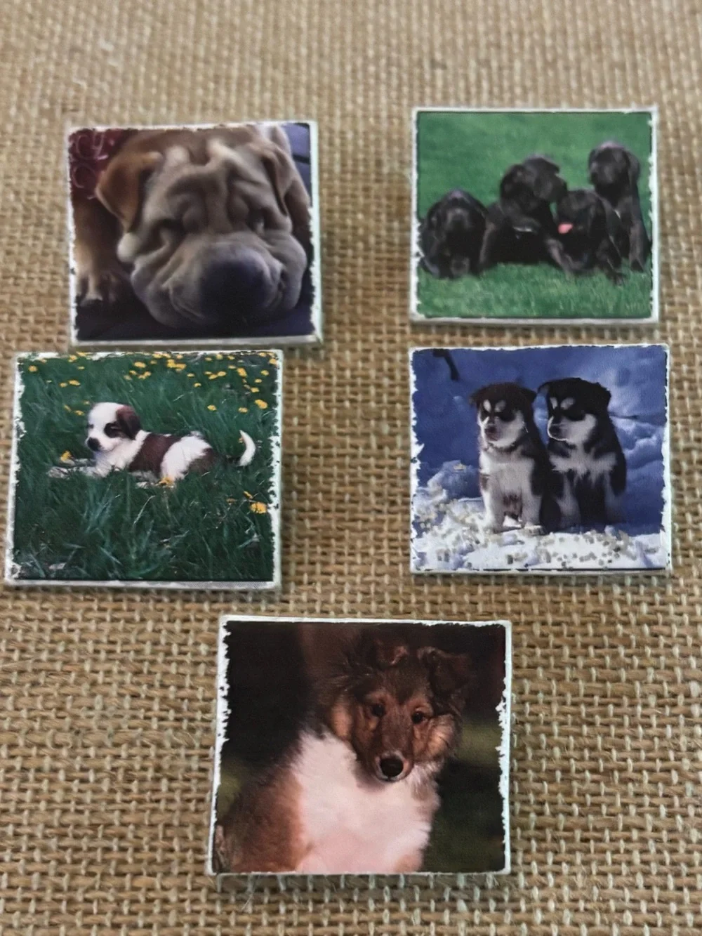 Vintage Plastic Tile Dog Pins